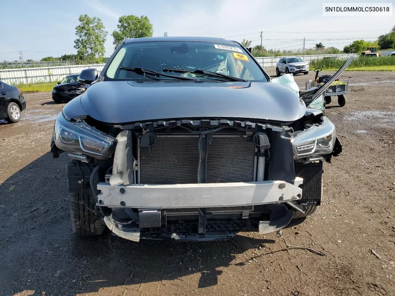 2020 Infiniti Qx60 Luxe VIN: 5N1DL0MM0LC530618 Lot: 61285215