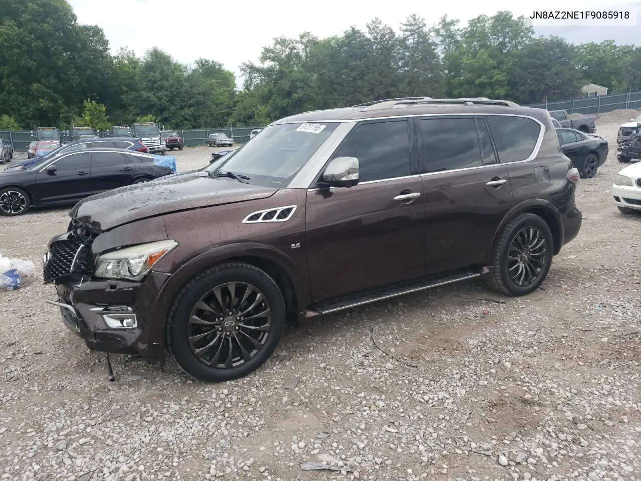 2015 Infiniti Qx80 VIN: JN8AZ2NE1F9085918 Lot: 61227185