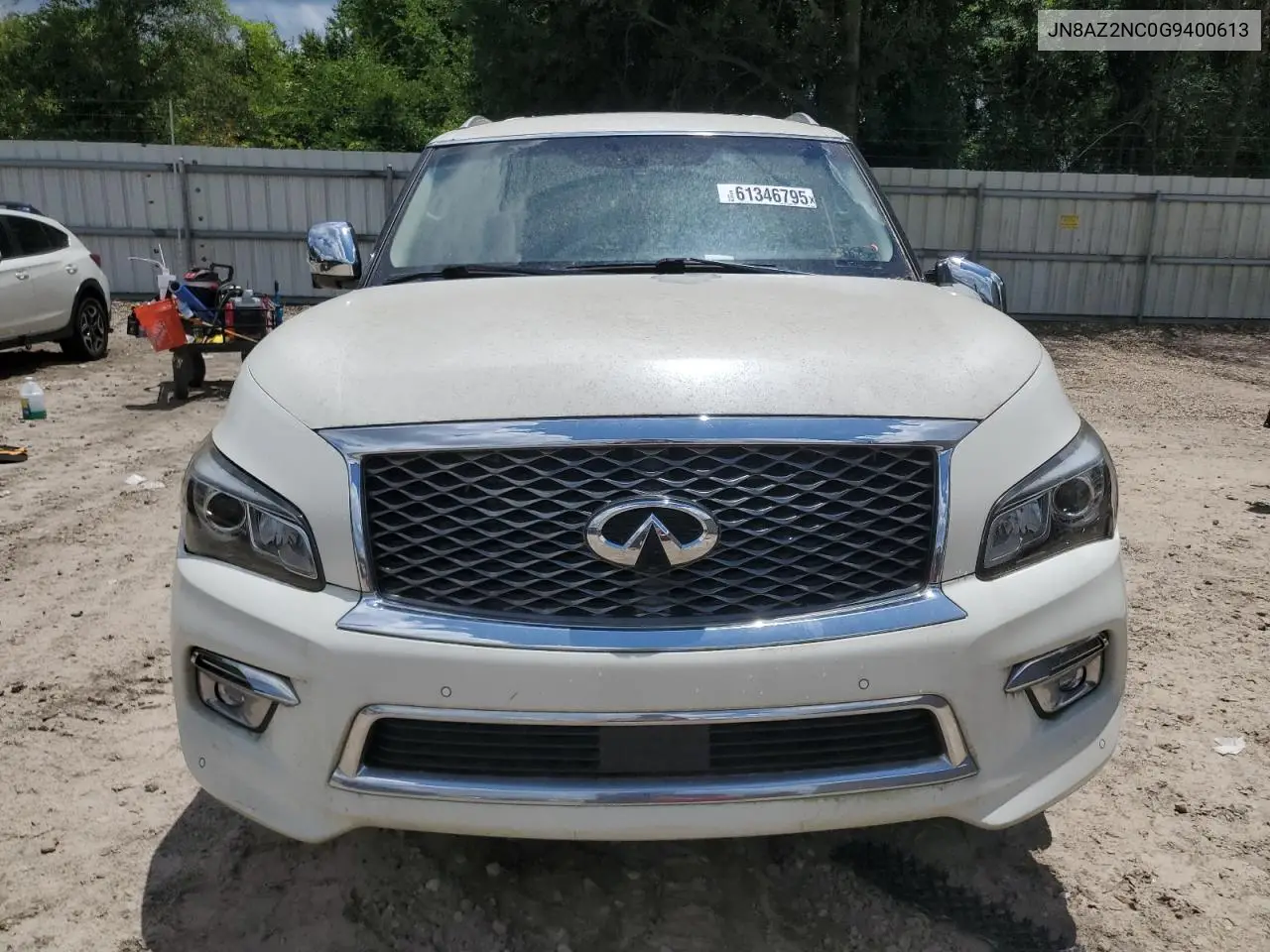2016 Infiniti Qx80 VIN: JN8AZ2NC0G9400613 Lot: 61346795