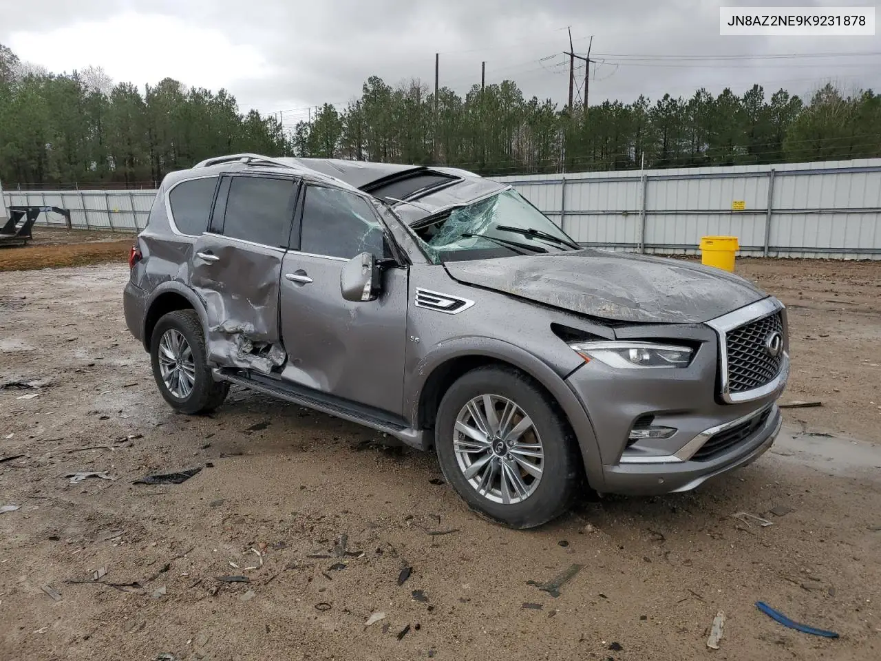 2019 Infiniti Qx80 Luxe VIN: JN8AZ2NE9K9231878 Lot: 49319325