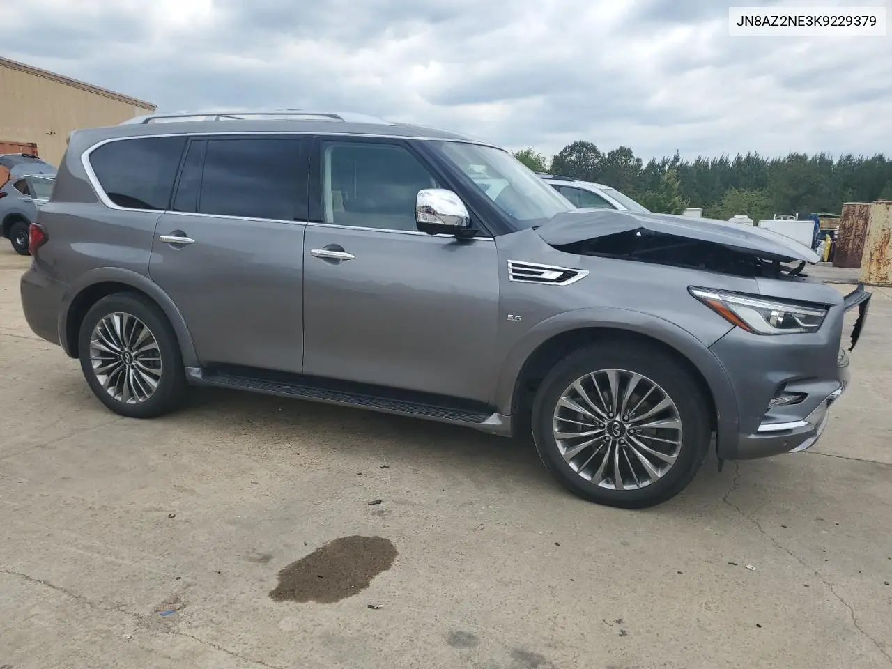 2019 Infiniti Qx80 Luxe VIN: JN8AZ2NE3K9229379 Lot: 52681685