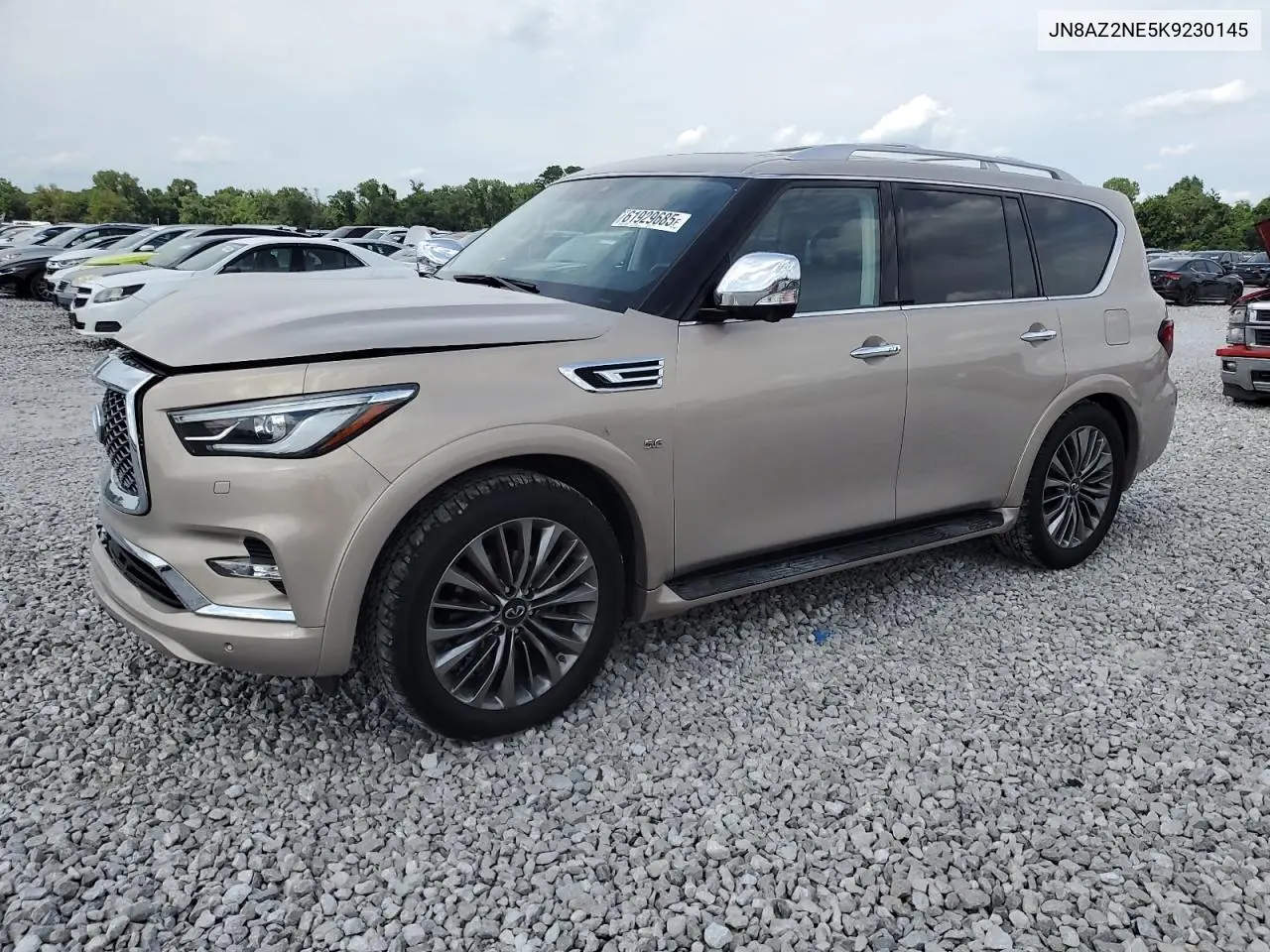 2019 Infiniti Qx80 Luxe VIN: JN8AZ2NE5K9230145 Lot: 61929685