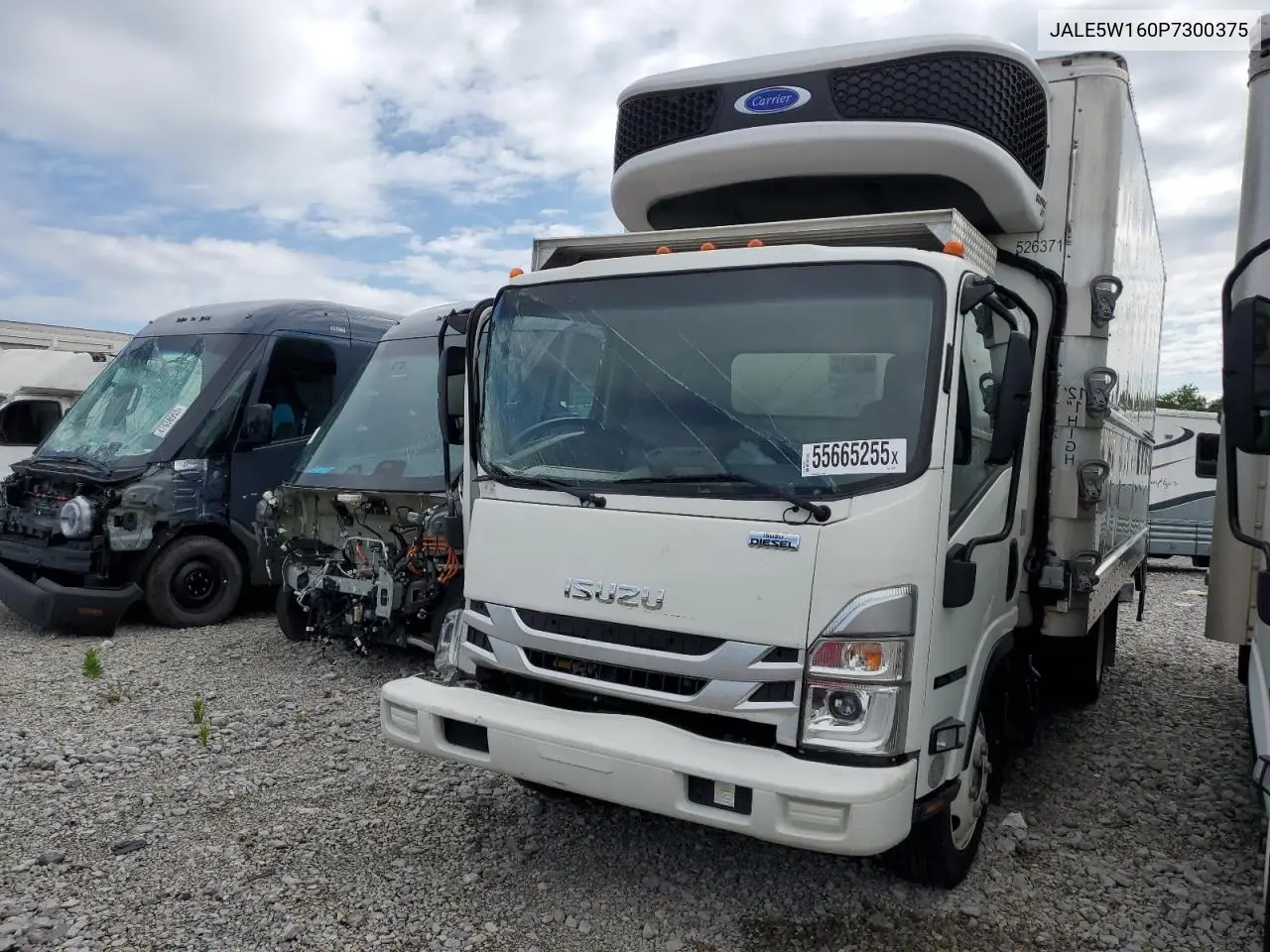 2023 Isuzu Nrr VIN: JALE5W160P7300375 Lot: 55665255
