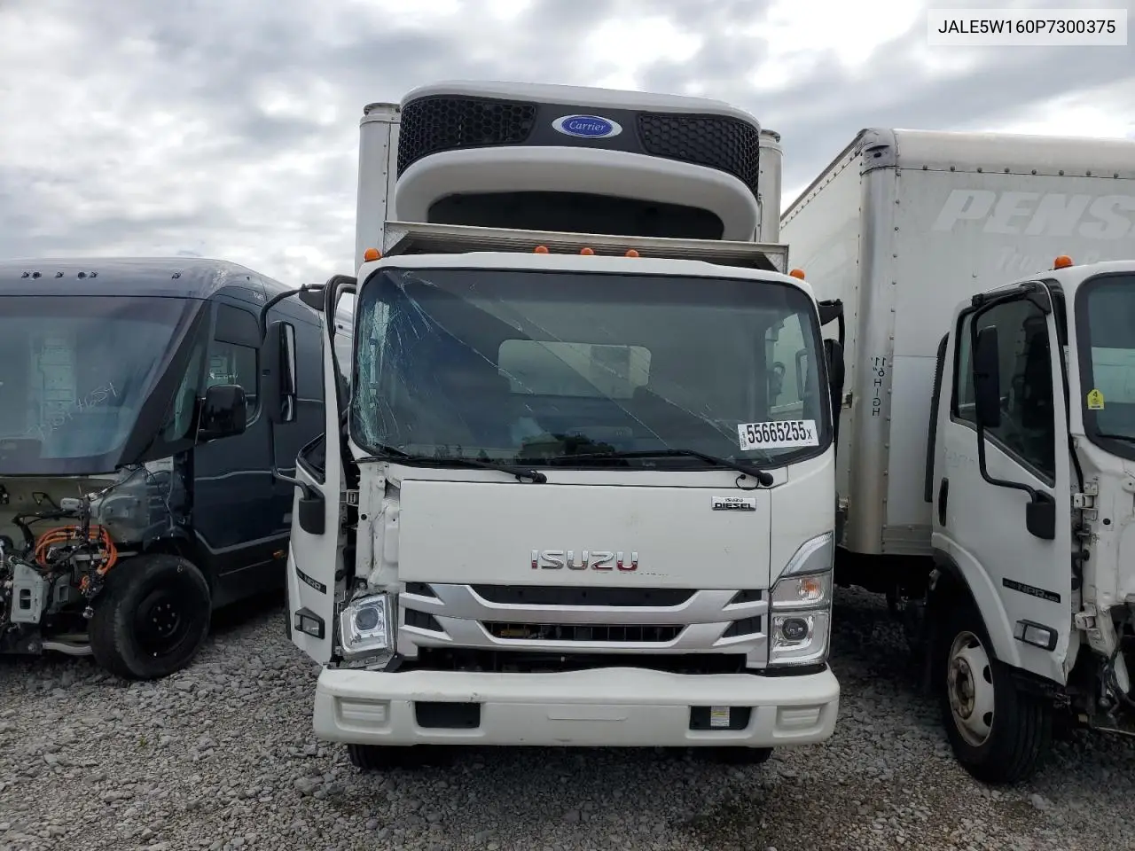 2023 Isuzu Nrr VIN: JALE5W160P7300375 Lot: 55665255