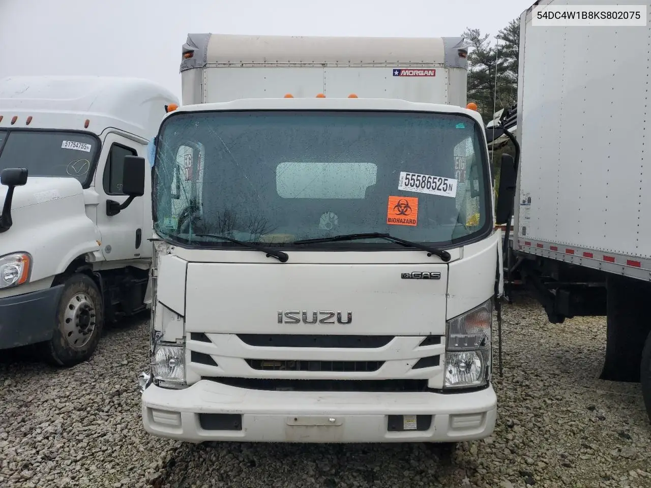 2019 Isuzu Npr Hd VIN: 54DC4W1B8KS802075 Lot: 55586525