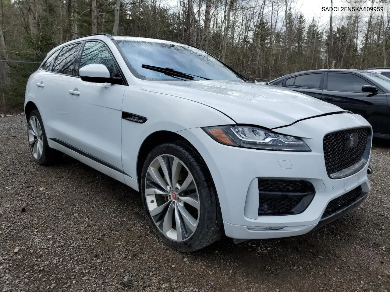 2019 Jaguar F-Pace R - Sport VIN: SADCL2FN5KA609959 Lot: 50394945
