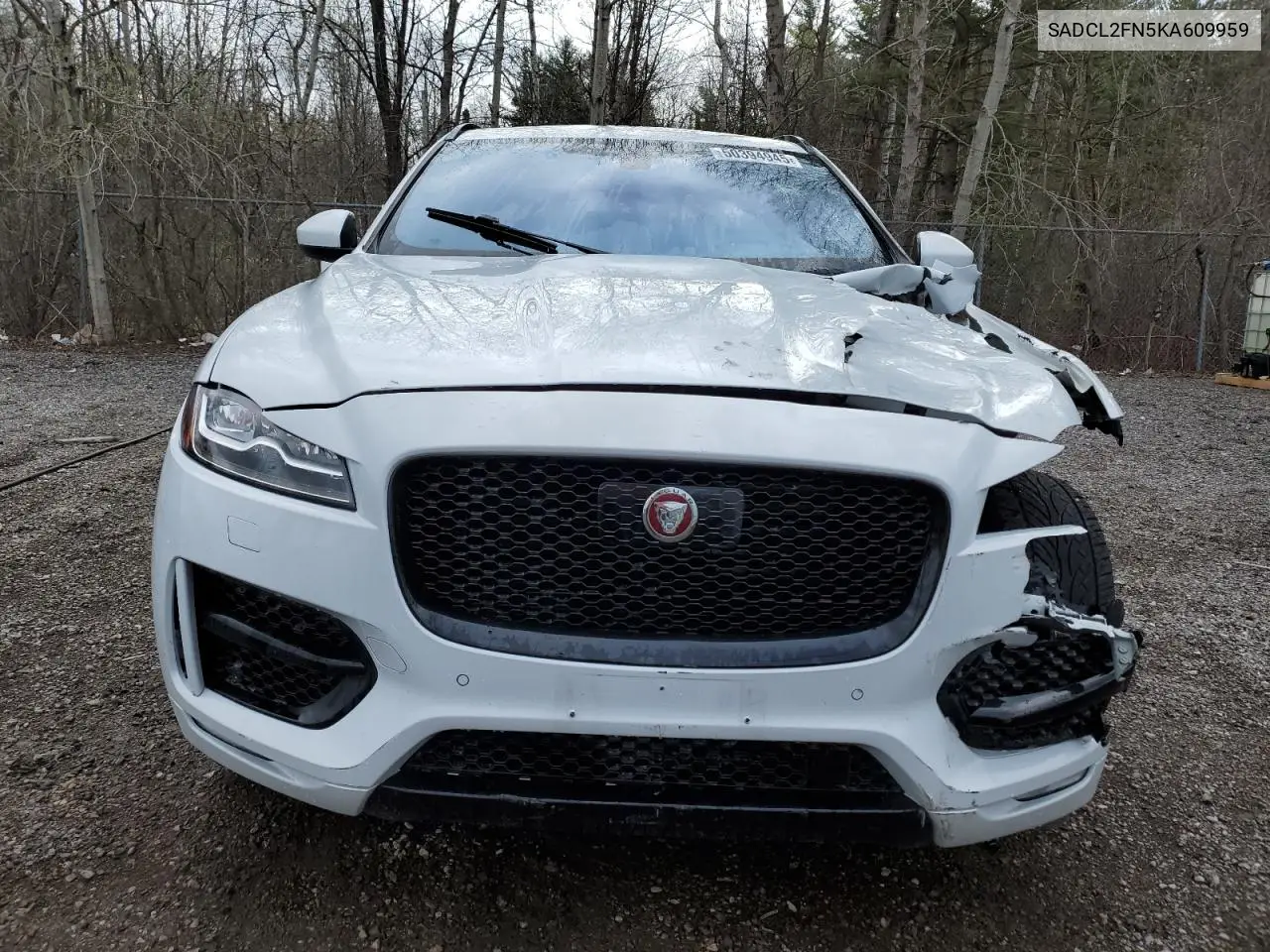 2019 Jaguar F-Pace R - Sport VIN: SADCL2FN5KA609959 Lot: 50394945