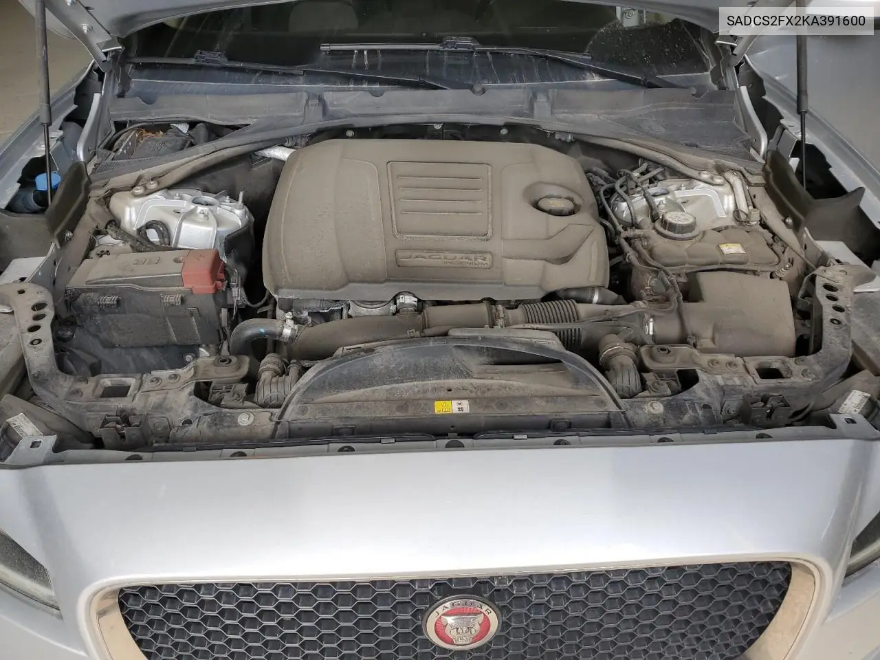 2019 Jaguar F-Pace VIN: SADCS2FX2KA391600 Lot: 50800915