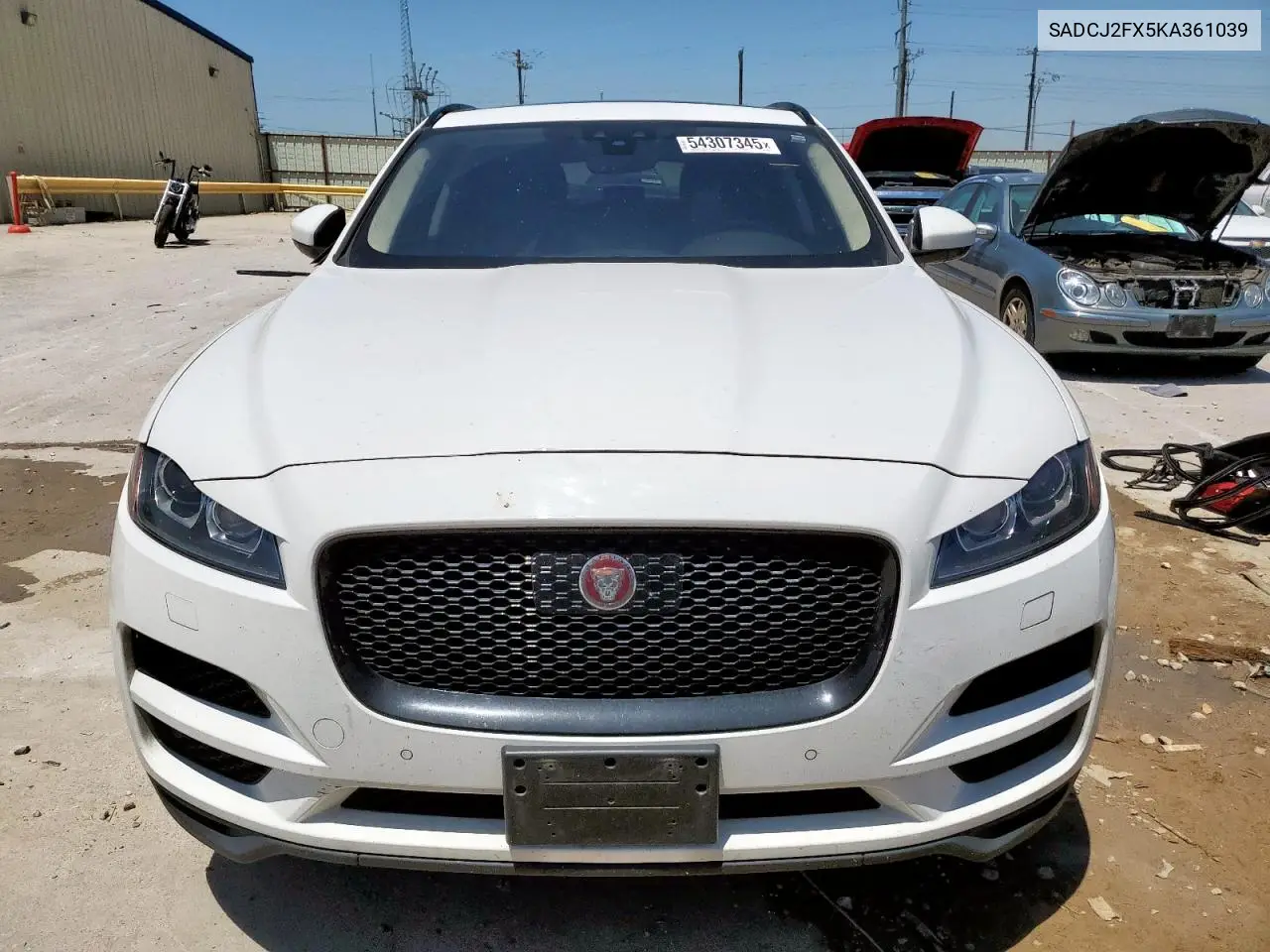 2019 Jaguar F-Pace Premium VIN: SADCJ2FX5KA361039 Lot: 54307345