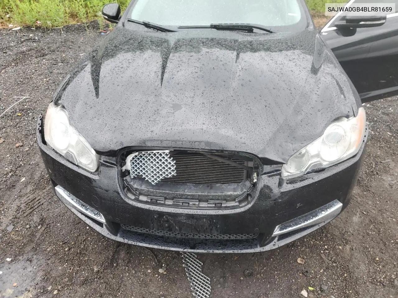 2011 Jaguar Xf Premium VIN: SAJWA0GB4BLR81659 Lot: 57973675