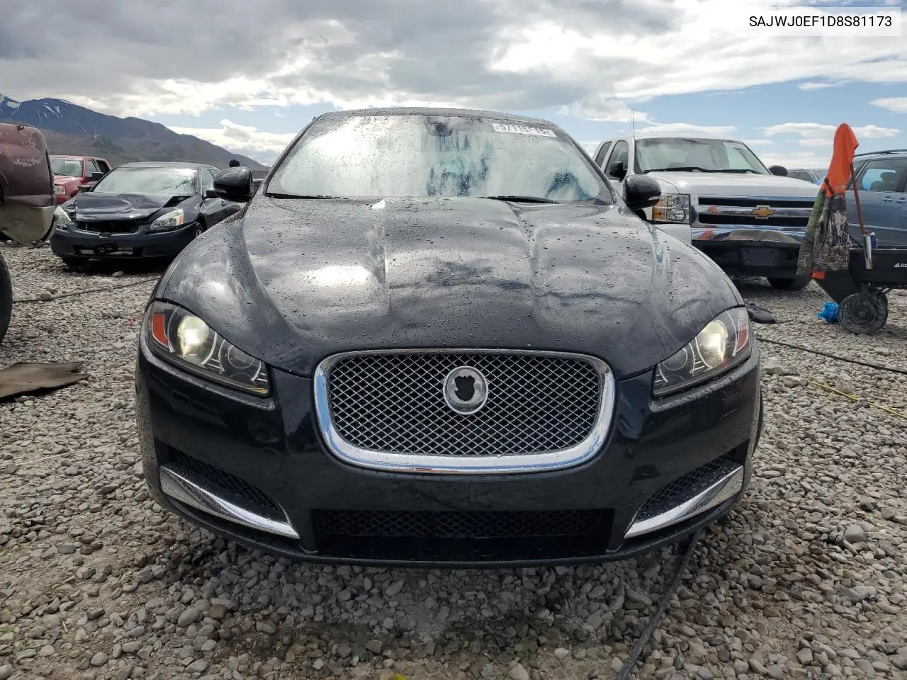 2013 Jaguar Xf VIN: SAJWJ0EF1D8S81173 Lot: 57116515