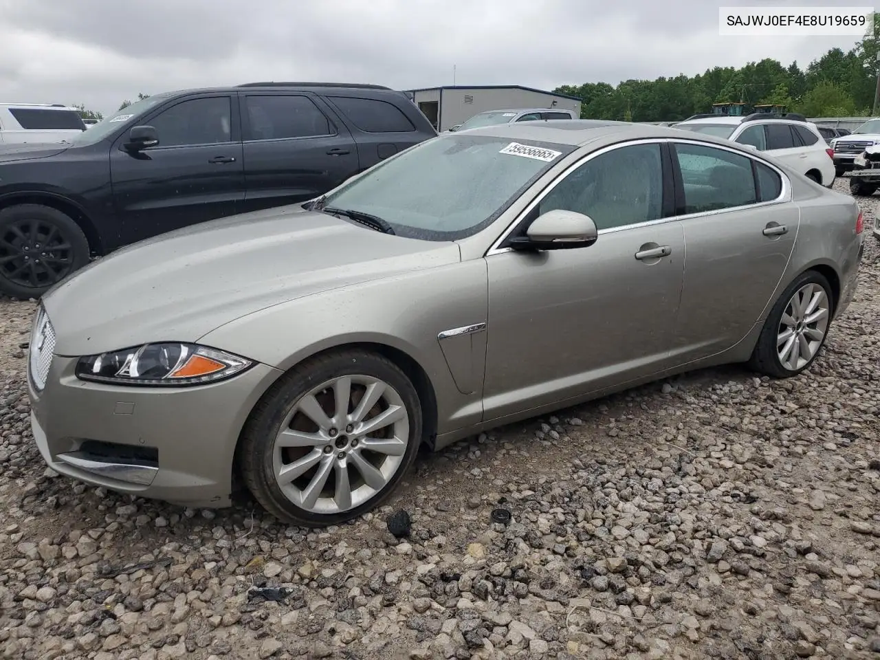 2014 Jaguar Xf VIN: SAJWJ0EF4E8U19659 Lot: 59556665