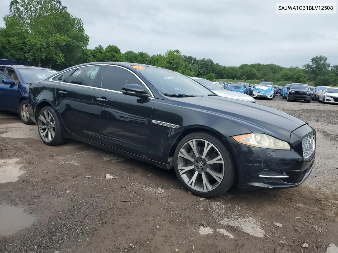 2011 Jaguar Xj VIN: SAJWA1CB1BLV12508 Lot: 60984575