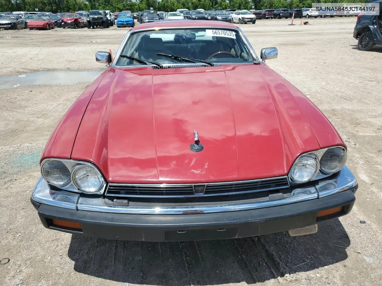 1988 Jaguar Xjs VIN: SAJNA5845JC144197 Lot: 56570535