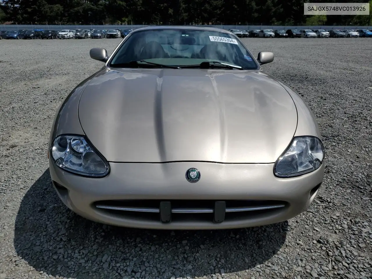1997 Jaguar Xk8 VIN: SAJGX5748VC013926 Lot: 55565304