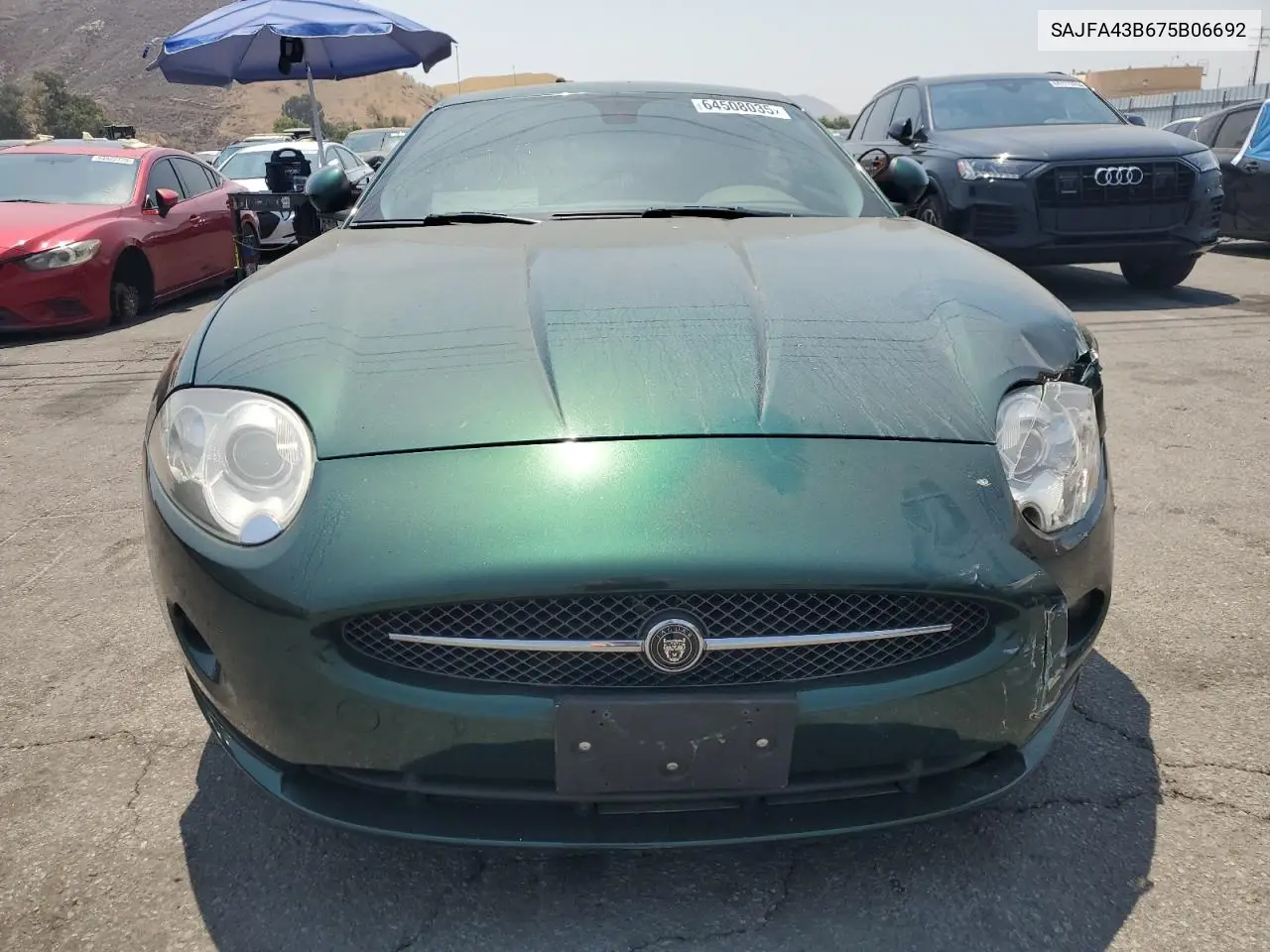 2007 Jaguar Xk VIN: SAJFA43B675B06692 Lot: 64508035