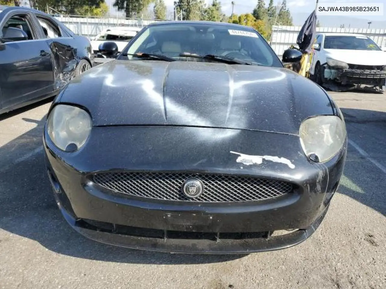 2008 Jaguar Xk VIN: SAJWA43B985B23651 Lot: 54621835