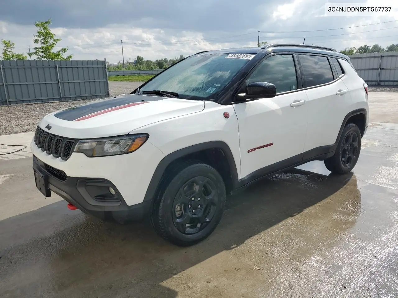 2023 Jeep Compass Trailhawk VIN: 3C4NJDDN5PT567737 Lot: 61824665
