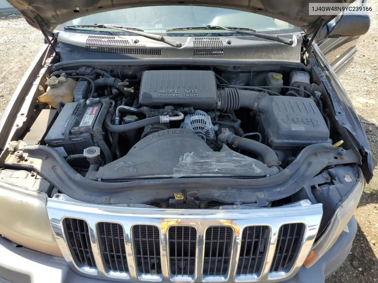 2000 Jeep Grand Cherokee Laredo VIN: 1J4GW48N9YC239166 Lot: 53321135
