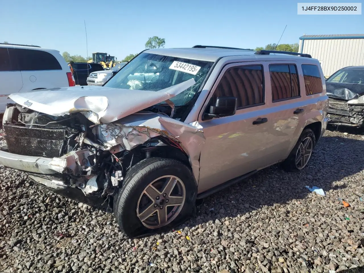 2009 Jeep Patriot Sport VIN: 1J4FF28BX9D250002 Lot: 53442195