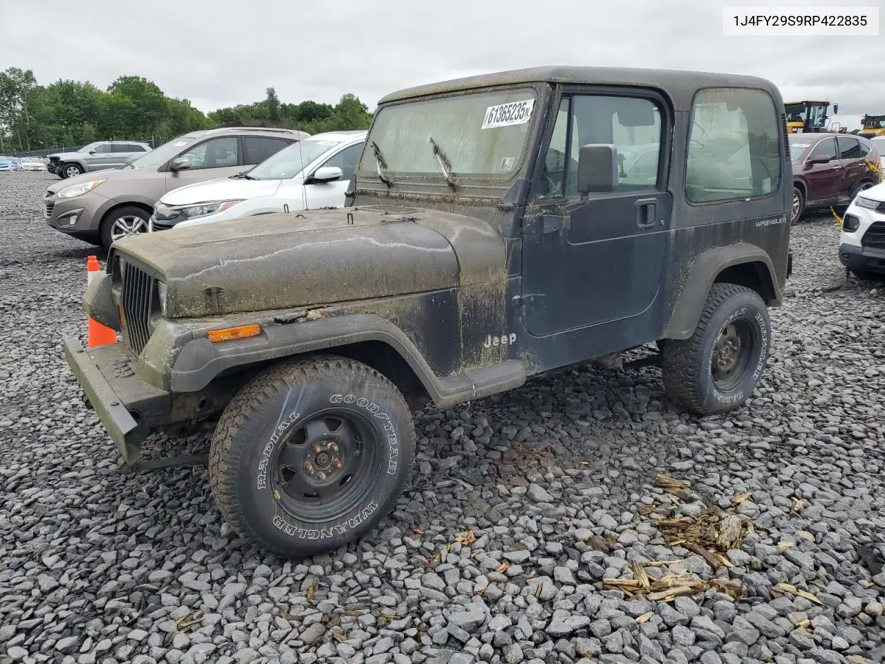 1994 Jeep Wrangler / Yj Se VIN: 1J4FY29S9RP422835 Lot: 61365235