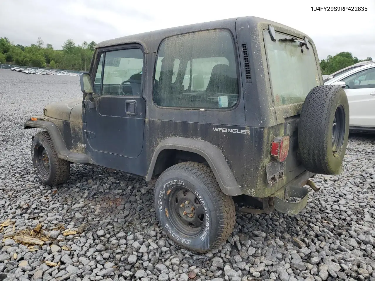 1994 Jeep Wrangler / Yj Se VIN: 1J4FY29S9RP422835 Lot: 61365235