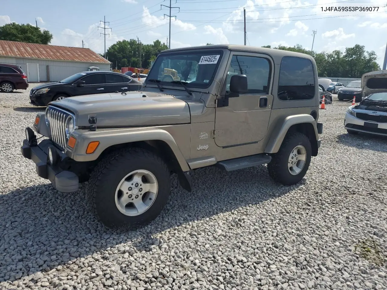 2003 Jeep Wrangler / Tj Sahara VIN: 1J4FA59S53P369077 Lot: 61445025