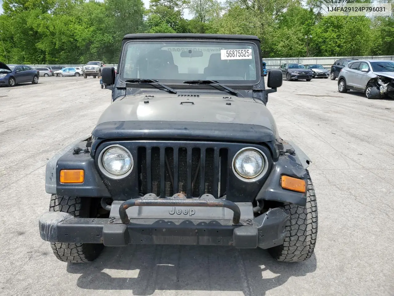 2004 Jeep Wrangler / Tj Se VIN: 1J4FA29124P796031 Lot: 56875525