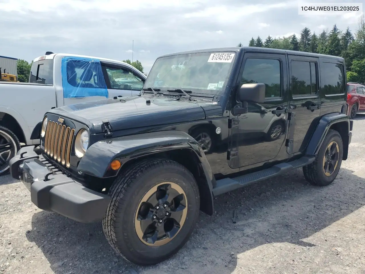 2014 Jeep Wrangler Unlimited Sahara VIN: 1C4HJWEG1EL203025 Lot: 61245135