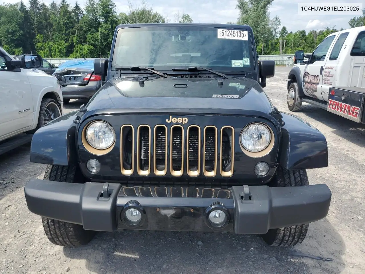 2014 Jeep Wrangler Unlimited Sahara VIN: 1C4HJWEG1EL203025 Lot: 61245135