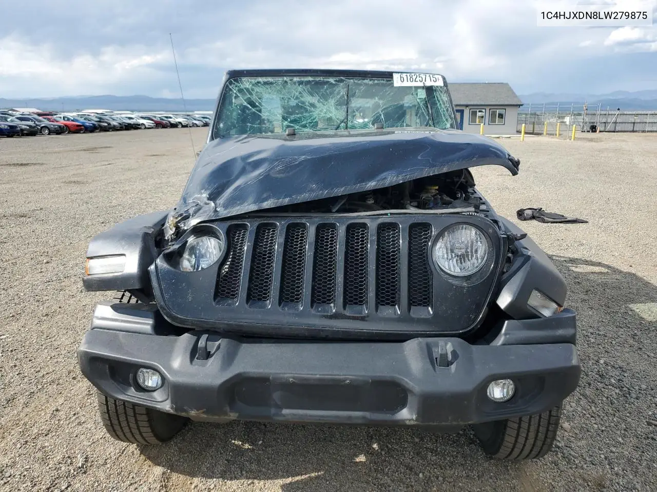 2020 Jeep Wrangler Unlimited Sport VIN: 1C4HJXDN8LW279875 Lot: 61825715