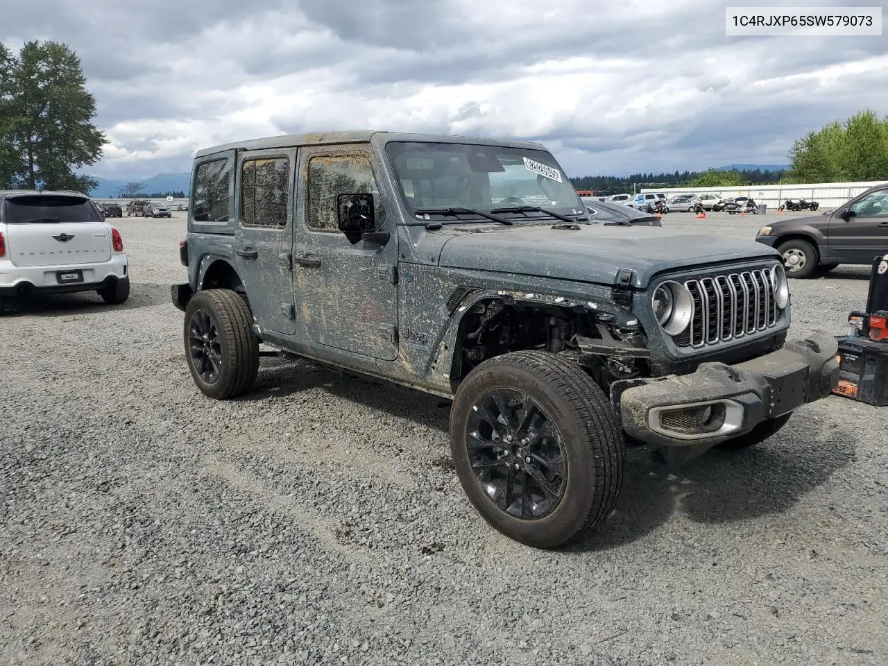 2025 Jeep Wrangler Sahara 4Xe VIN: 1C4RJXP65SW579073 Lot: 62026945