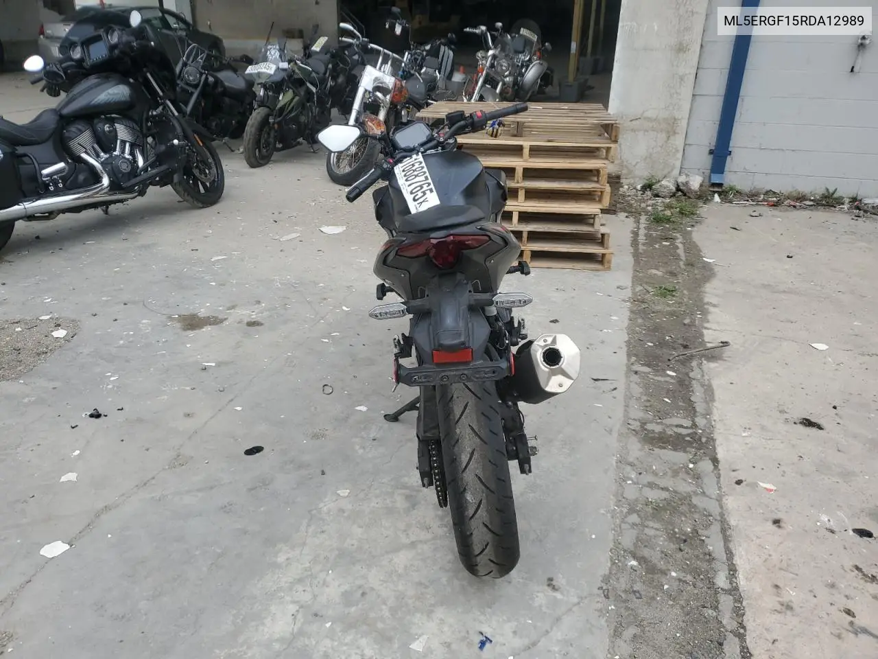 2024 Kawasaki Er500 VIN: ML5ERGF15RDA12989 Lot: 51688765