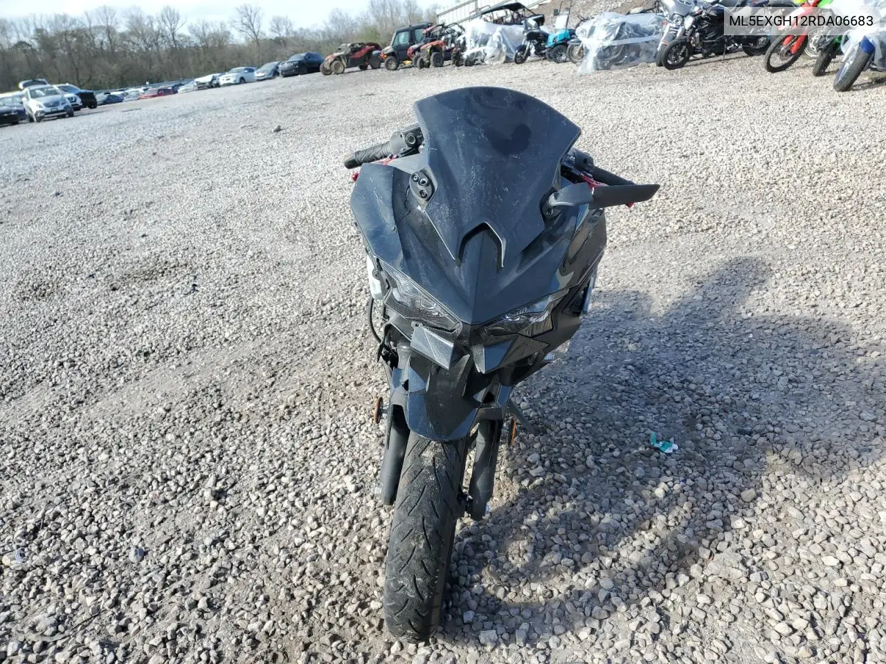2024 Kawasaki Ex500 H VIN: ML5EXGH12RDA06683 Lot: 49485425