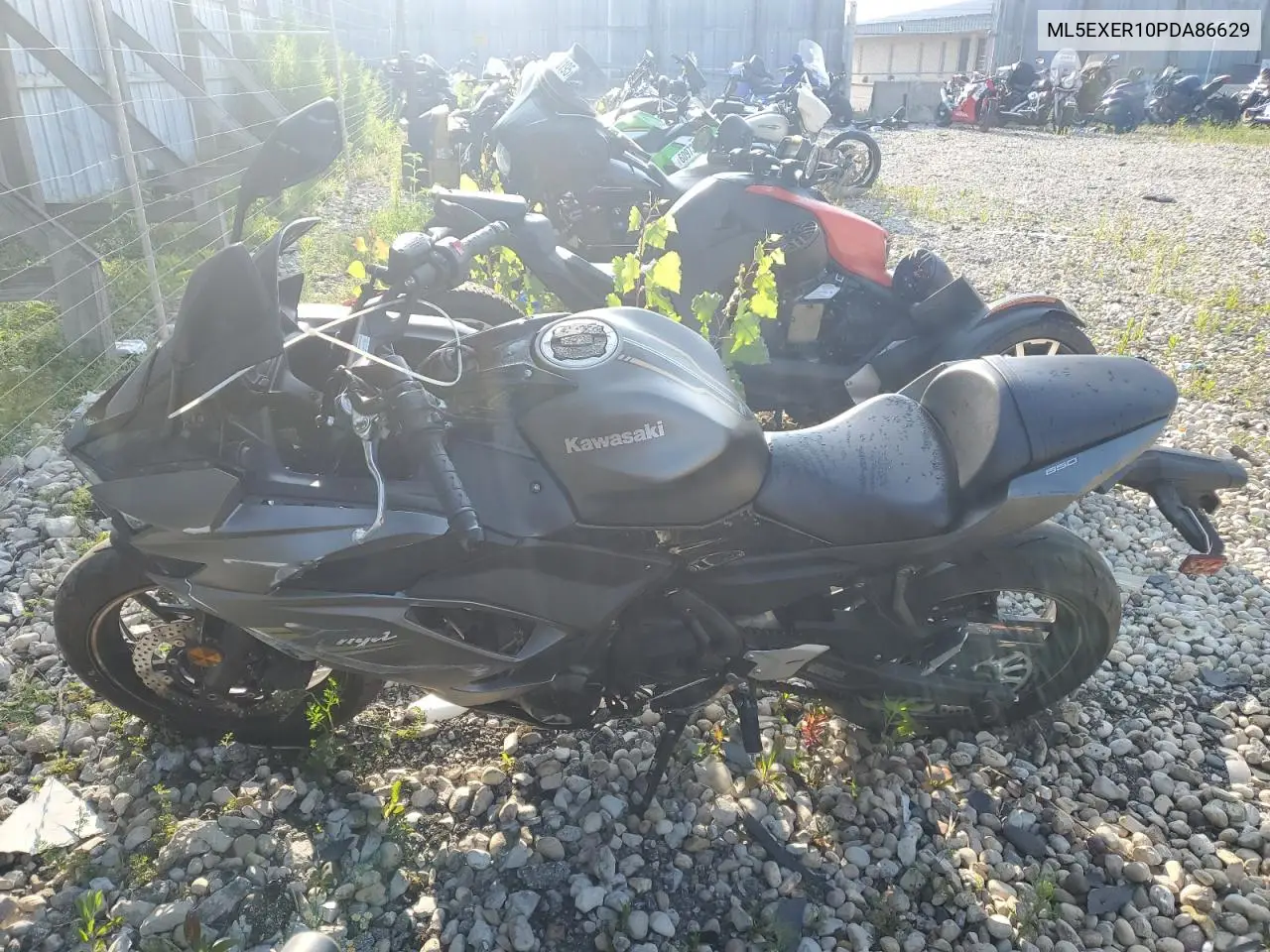 2023 Kawasaki Ex650 R VIN: ML5EXER10PDA86629 Lot: 65567875