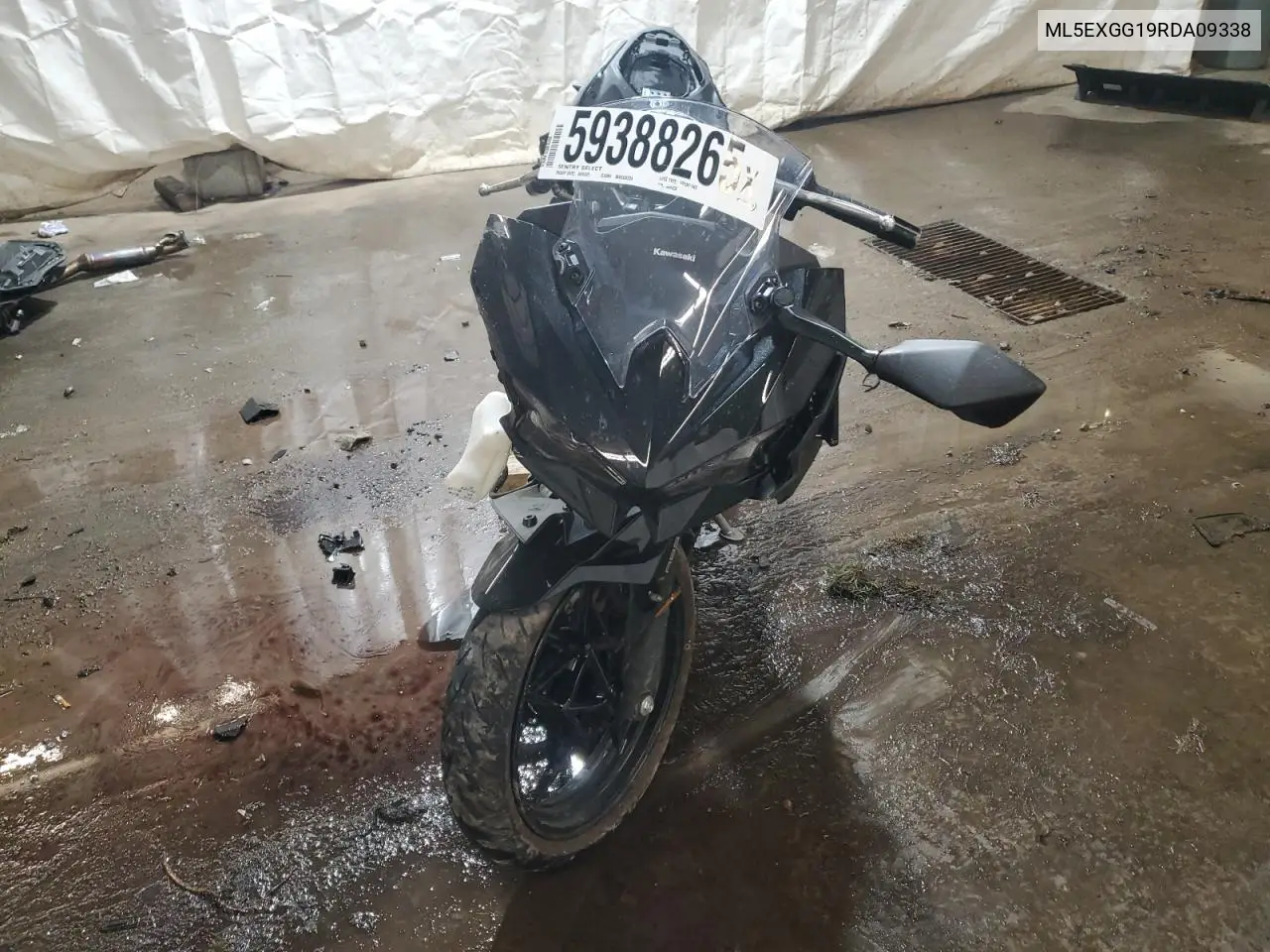 2024 Kawasaki Ex500 VIN: ML5EXGG19RDA09338 Lot: 59388265