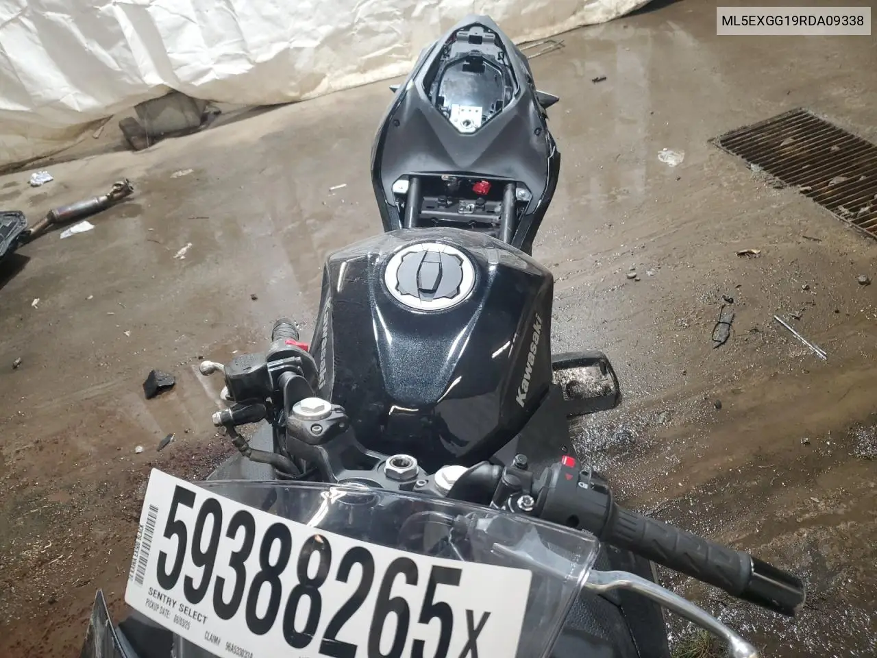 2024 Kawasaki Ex500 VIN: ML5EXGG19RDA09338 Lot: 59388265