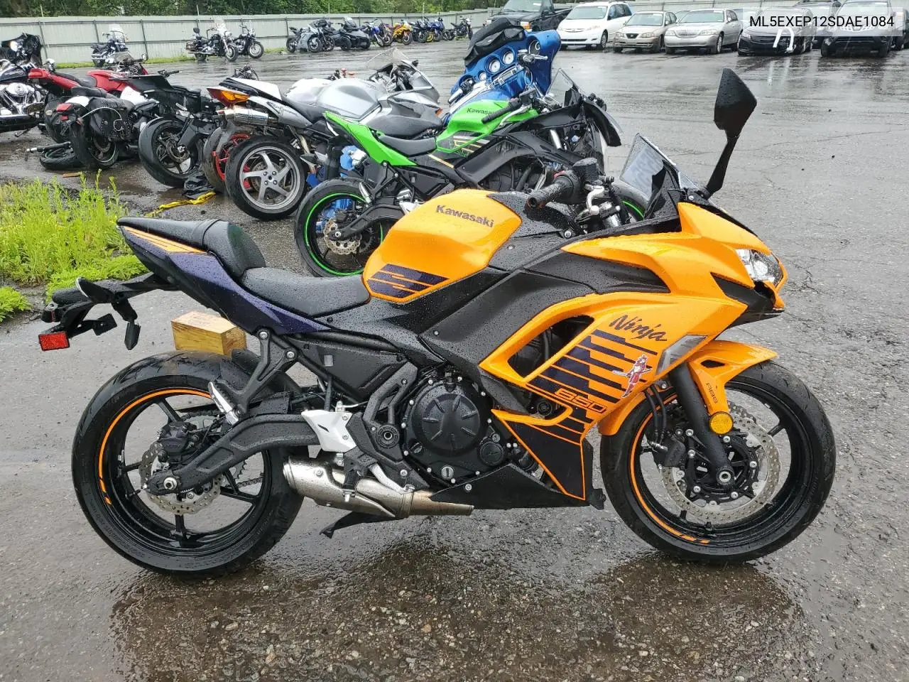 2025 Kawasaki Ex650 P VIN: ML5EXEP12SDAE1084 Lot: 58158525