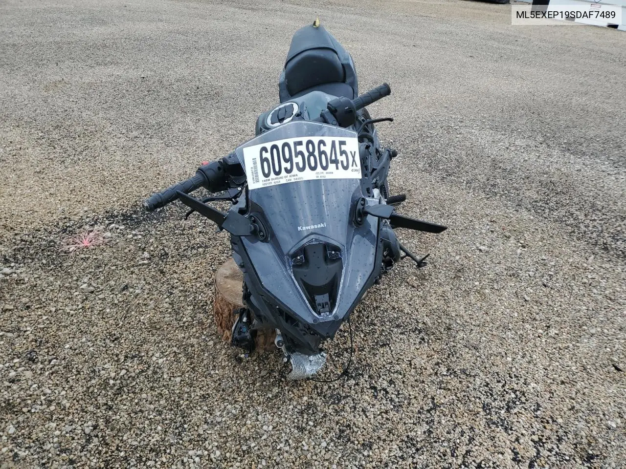 2025 Kawasaki Ex650 P VIN: ML5EXEP19SDAF7489 Lot: 60958645