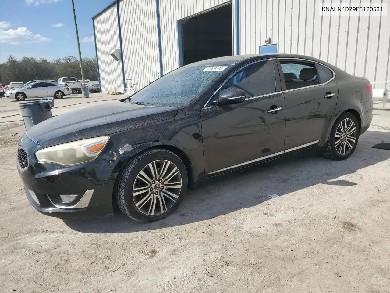 2014 Kia Cadenza Premium VIN: KNALN4D79E5120531 Lot: 45104745