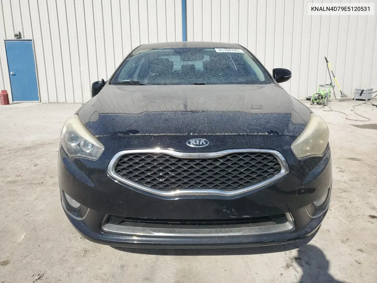 2014 Kia Cadenza Premium VIN: KNALN4D79E5120531 Lot: 45104745