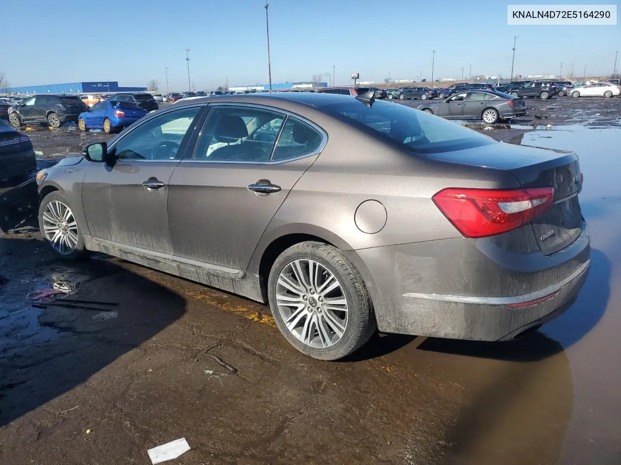 2014 Kia Cadenza Premium VIN: KNALN4D72E5164290 Lot: 46880435