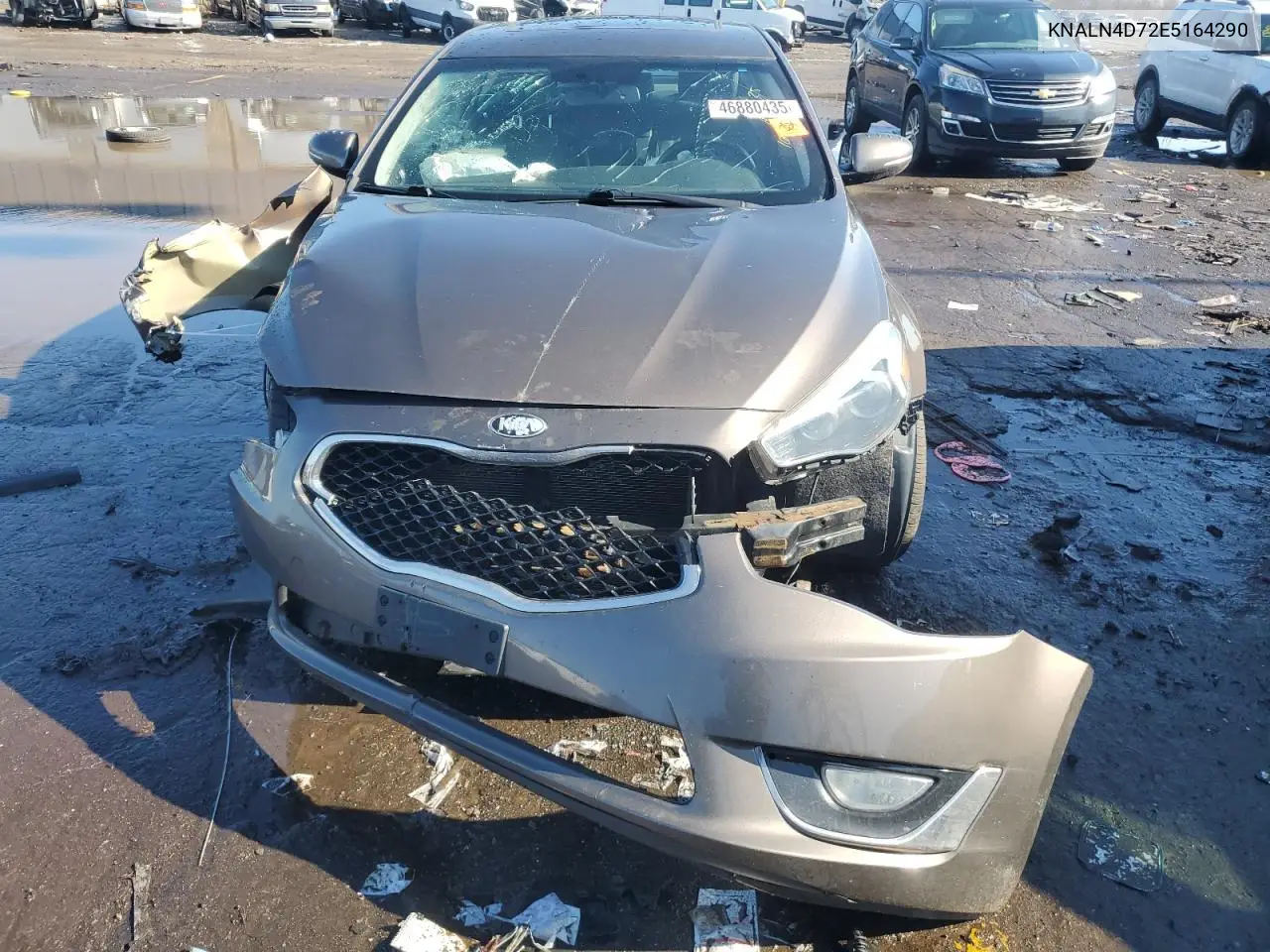 2014 Kia Cadenza Premium VIN: KNALN4D72E5164290 Lot: 46880435