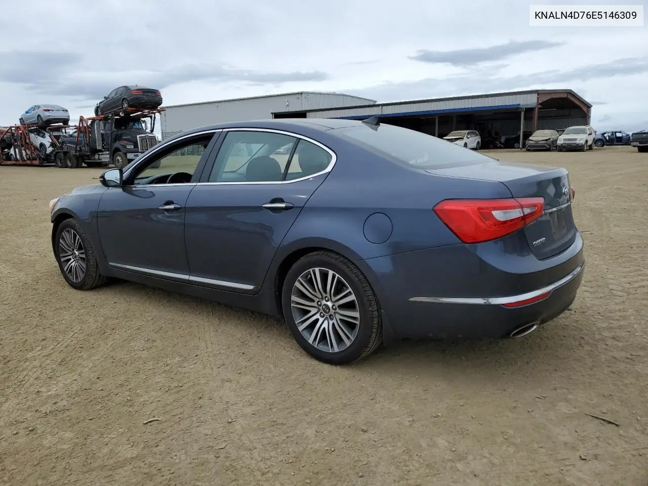 2014 Kia Cadenza Premium VIN: KNALN4D76E5146309 Lot: 48039365