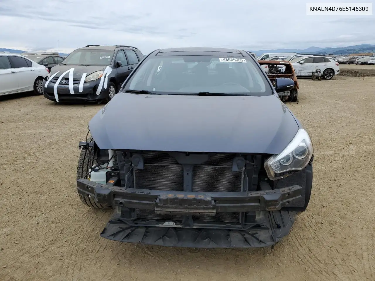 2014 Kia Cadenza Premium VIN: KNALN4D76E5146309 Lot: 48039365
