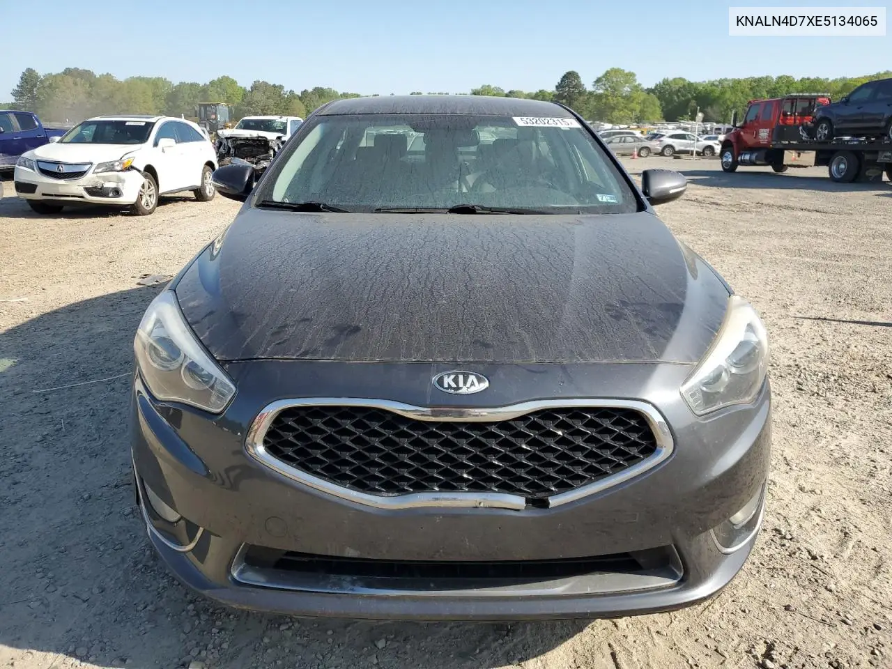 2014 Kia Cadenza Premium VIN: KNALN4D7XE5134065 Lot: 53202315