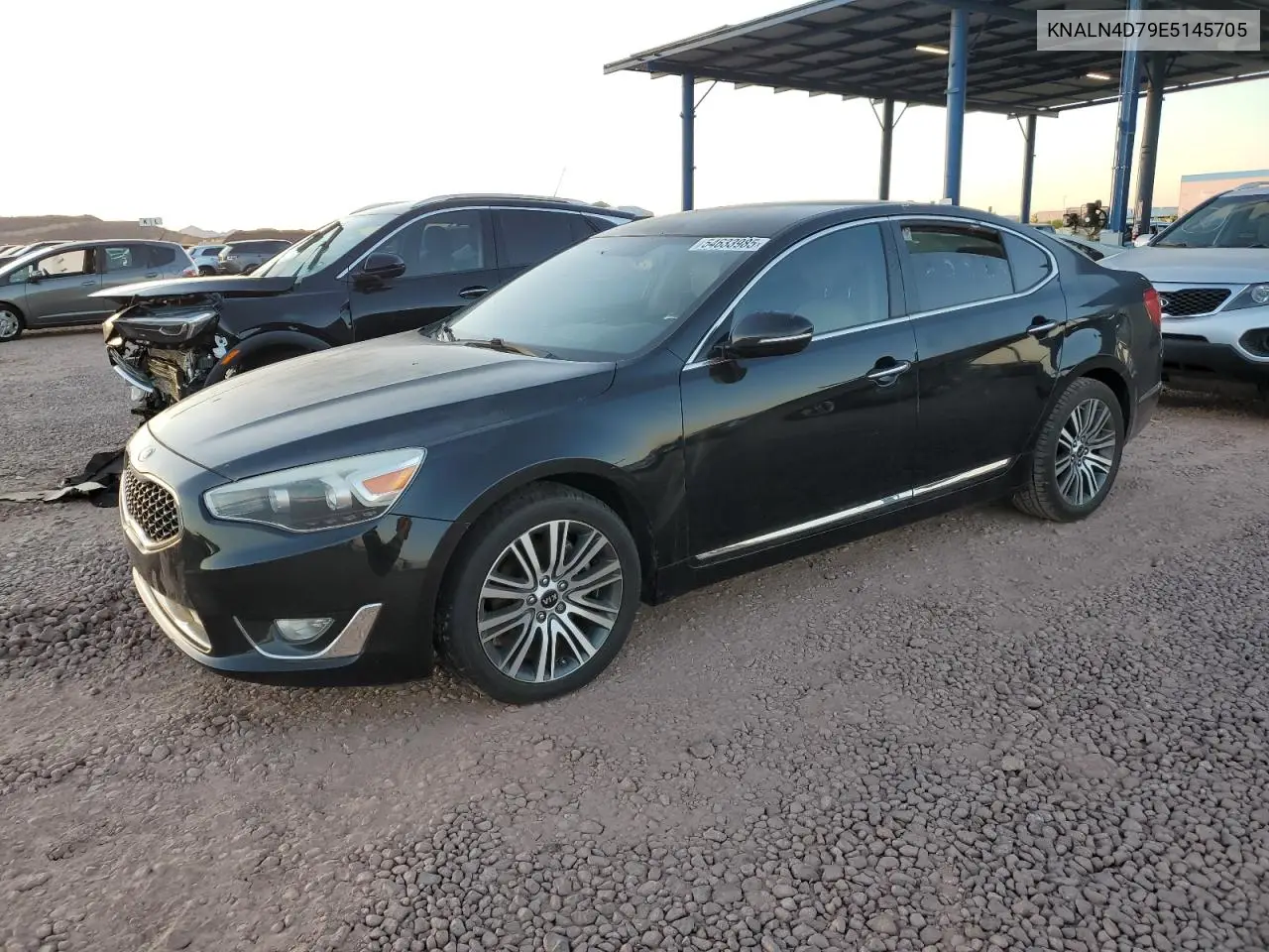2014 Kia Cadenza Premium VIN: KNALN4D79E5145705 Lot: 54633985