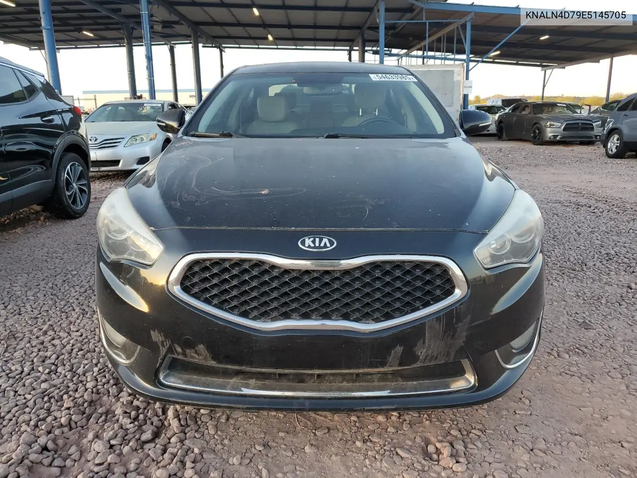 2014 Kia Cadenza Premium VIN: KNALN4D79E5145705 Lot: 54633985