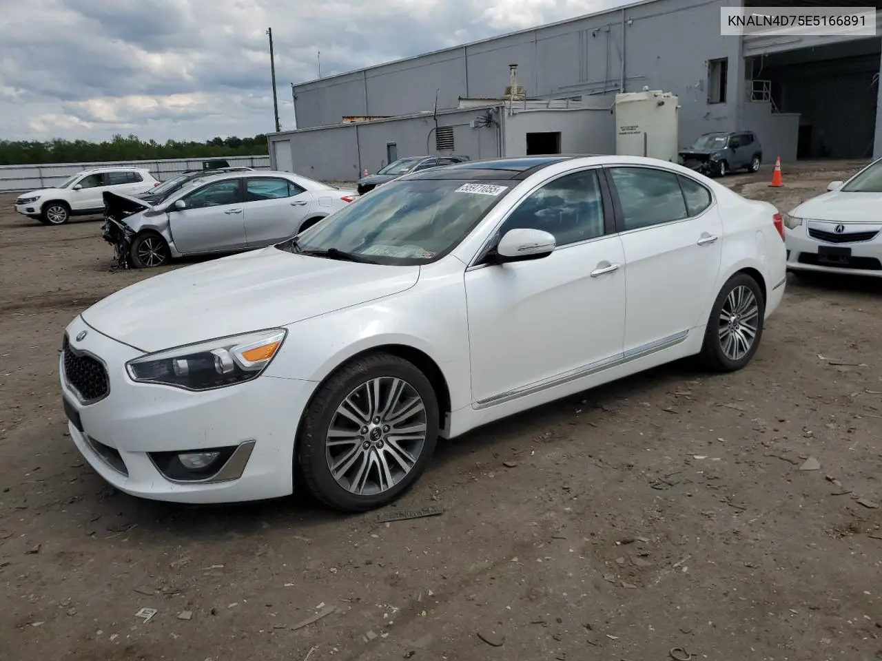 2014 Kia Cadenza Premium VIN: KNALN4D75E5166891 Lot: 55971055