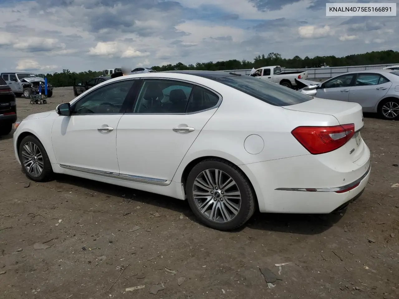 2014 Kia Cadenza Premium VIN: KNALN4D75E5166891 Lot: 55971055